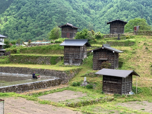 “わたしの絶景”をみつける日　―野の花を訪ねる飛騨の里山―